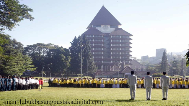 Berikut Jurusan Fakultas Ilmu Sosial & Politik Universitas Indonesia